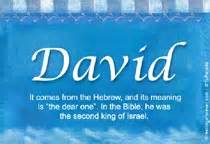 david last name origin|David Name Meaning and David Family History at .